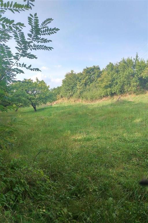 FOTO - Nabízím k prodeji pozemek určený pro výstavbu RD o velikosti 1791 m2 v Mělníku.